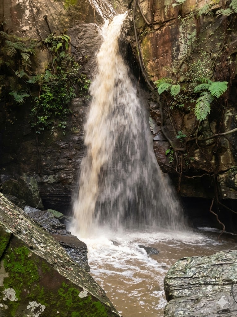 Experiencia en la naturaleza alejada de las multitudes: Descubra el Salto San Vicente